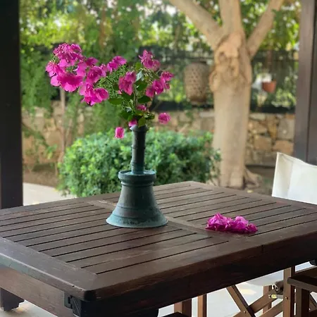 4+1 Ozel Havuzlu Mugla/gocek Villa Bayindir (Izmir)