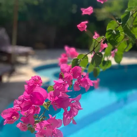 Villa 4+1 Ozel Havuzlu Mugla/gocek