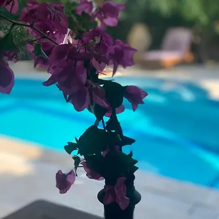 4+1 Ozel Havuzlu Mugla/gocek Bayindir (Izmir)